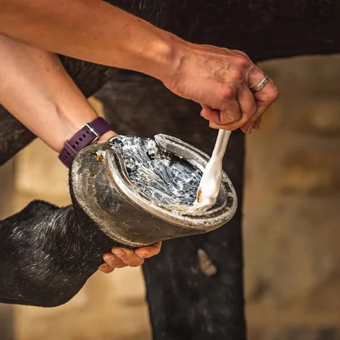 HOOF MOISTURISER - Olio per zoccoli secchi