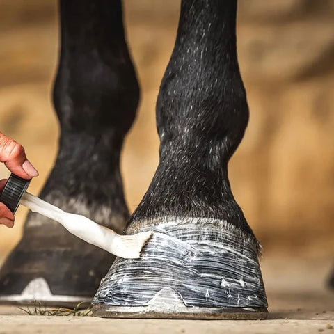 HOOF MOISTURISER - Olio per zoccoli secchi