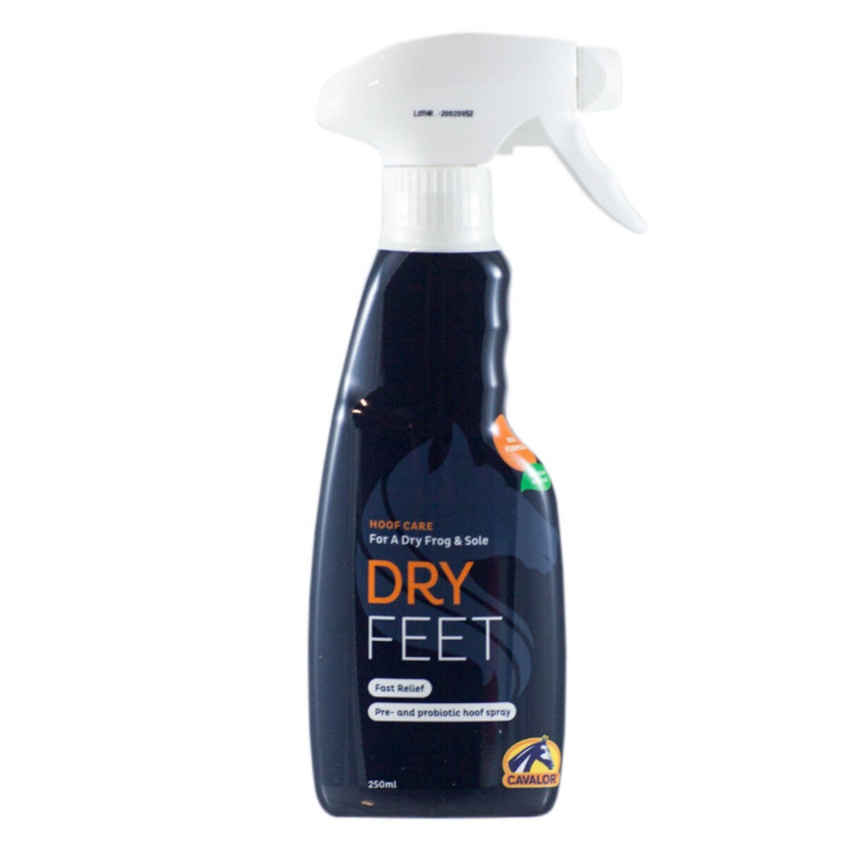 DRYFEET - spray per zoccoli