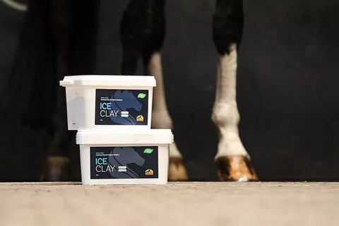 ICE CLAY - Argilla naturale per gli arti