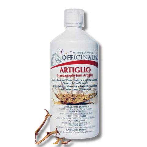 Artiglio Integratore