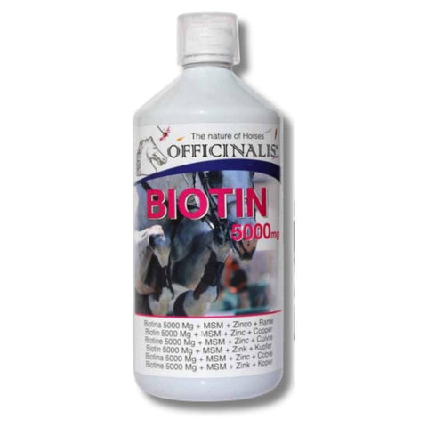 Biotina
