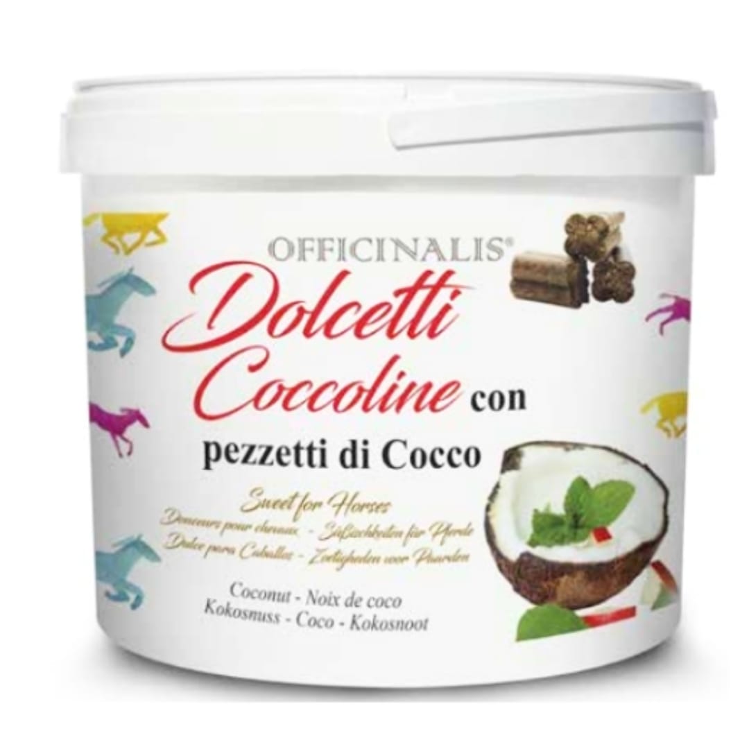 DOLCETTI CON PEZZETTI DI COCCO
