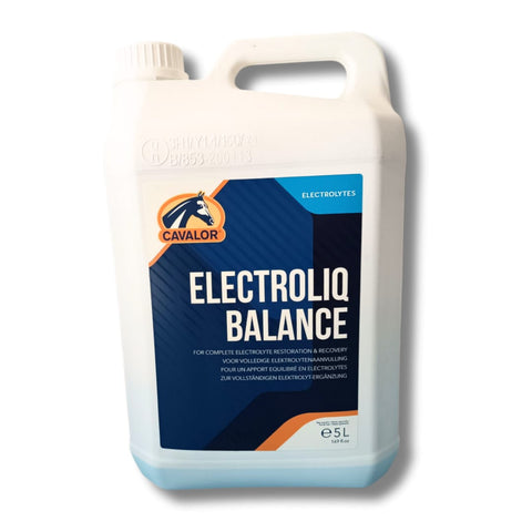 Elettroliti liquidi