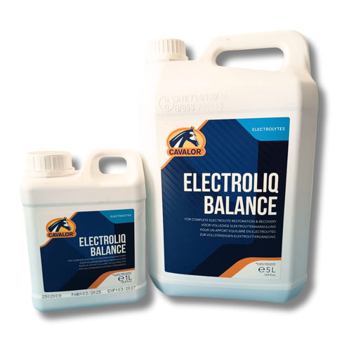 Elettroliti liquidi