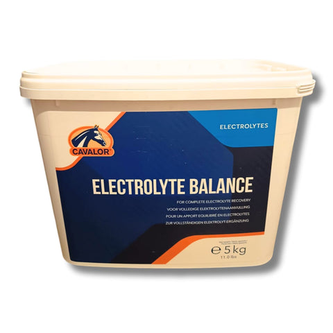 Elettroliti in polvere