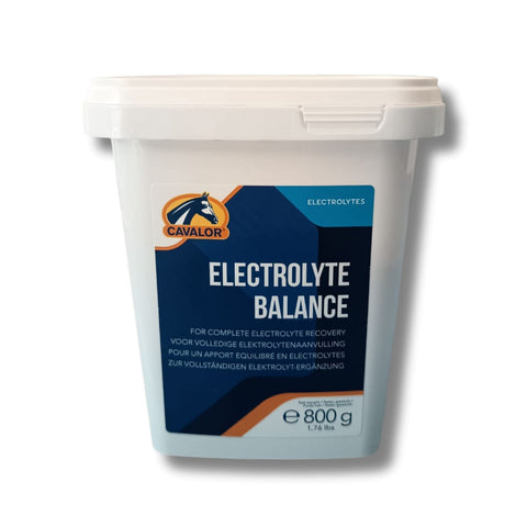Elettroliti in polvere