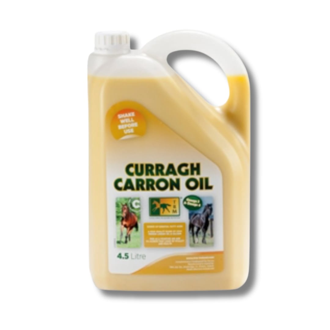 OLIO DI SEMI DI LINO