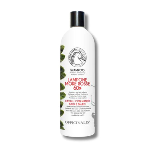 SHAMPOO assortiti per varie esigenze